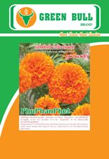 紾ѹͧѴ͡١ پҹྪ ҡչ Marigold Seed F1 PhuPhanPhet Green Bull Brand  hạt giống hoa cúc vạn thọ (PhuPhanPhet) 